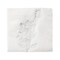 Durable White with Silver Antique Floral Paper Beverage/Cocktail Napkins (600 Napkins)
